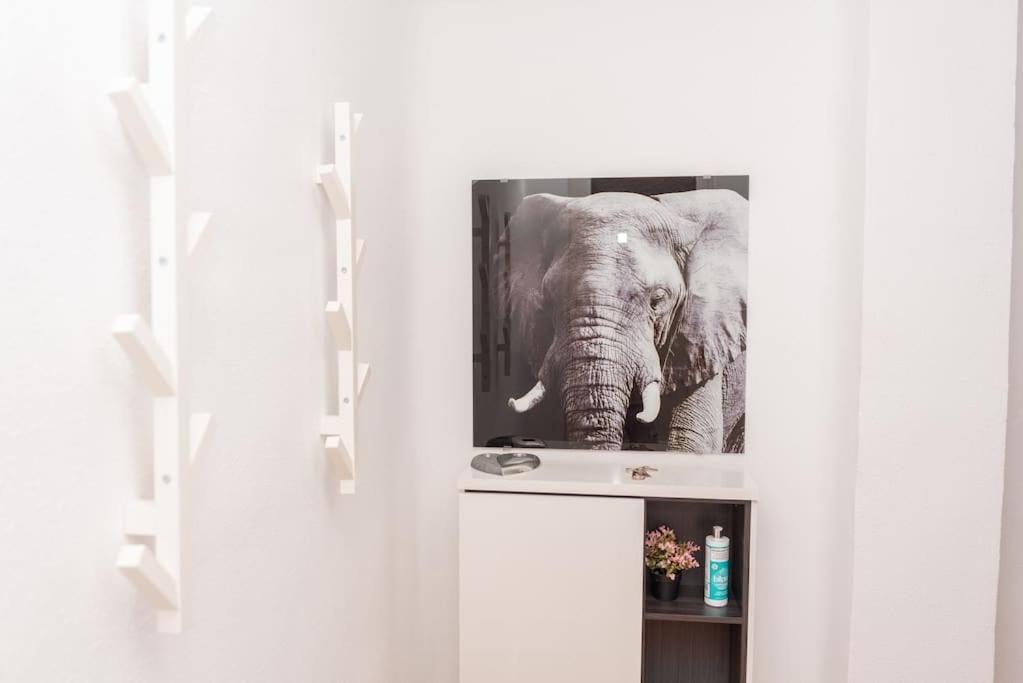 מורסיה Apartamento Alexa, A 800Mts Catedral Wifi Smart Tv מראה חיצוני תמונה
